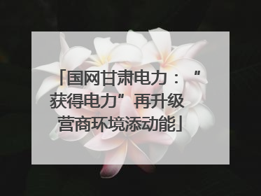 国网甘肃电力：“获得电力”再升级 营商环境添动能