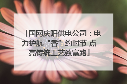 国网庆阳供电公司：电力护航“香”约时节 点亮传统工艺致富路