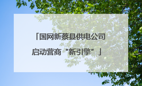 国网新蔡县供电公司启动营商“新引擎”