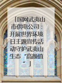 国网武夷山市供电公司：开展世界环境日主题宣传活动守护武夷山生态“高颜值”