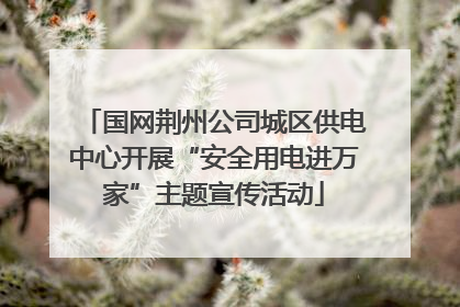 国网荆州公司城区供电中心开展“安全用电进万家”主题宣传活动