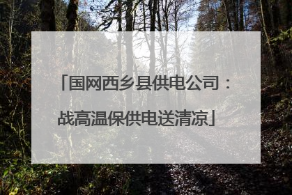 国网西乡县供电公司：战高温保供电送清凉