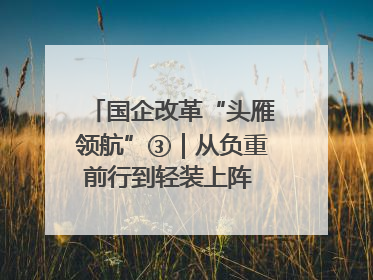国企改革“头雁领航”③｜从负重前行到轻装上阵 重庆以“瘦身”谋“健体”