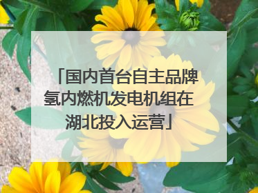 国内首台自主品牌氢内燃机发电机组在湖北投入运营