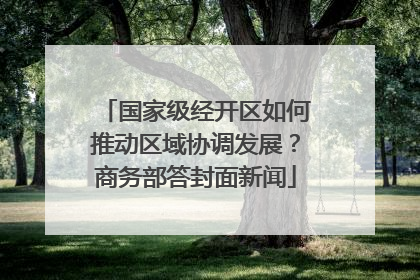 国家级经开区如何推动区域协调发展？商务部答封面新闻