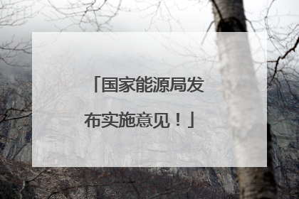 国家能源局发布实施意见！