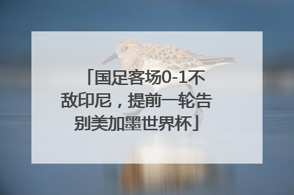 国足客场0-1不敌印尼，提前一轮告别美加墨世界杯