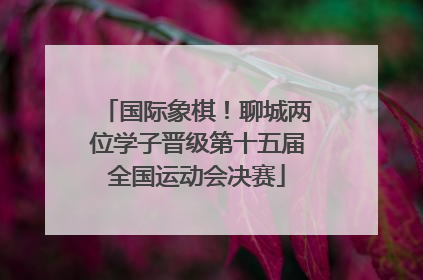 国际象棋！聊城两位学子晋级第十五届全国运动会决赛