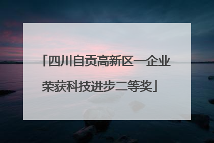 四川自贡高新区一企业荣获科技进步二等奖