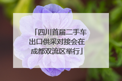 四川首届二手车出口供采对接会在成都双流区举行