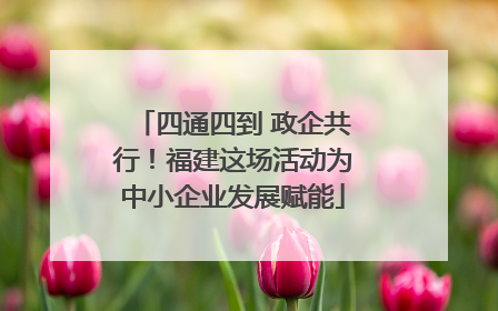 四通四到 政企共行！福建这场活动为中小企业发展赋能