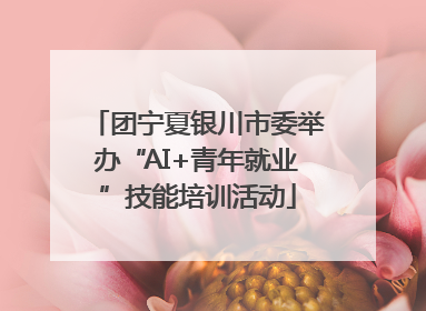 团宁夏银川市委举办“AI+青年就业”技能培训活动