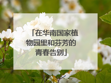 在华南国家植物园里和芬芳的青春告别