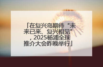 在复兴岛期待“未来已来、复兴相见”，2025杨浦全球推介大会昨晚举行