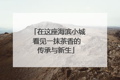 在这座海滨小城 看见一抹茶香的传承与新生