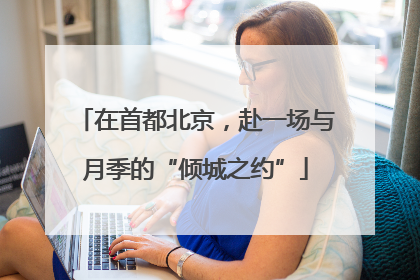 在首都北京，赴一场与月季的“倾城之约”