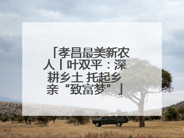 孝昌最美新农人丨叶双平：深耕乡土 托起乡亲“致富梦”