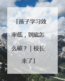 孩子学习效率低，到底怎么破？｜校长来了