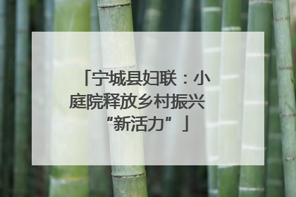 宁城县妇联：小庭院释放乡村振兴“新活力”