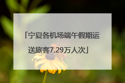 宁夏各机场端午假期运送旅客7.29万人次