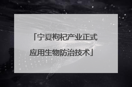 宁夏枸杞产业正式应用生物防治技术