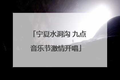 宁夏水洞沟 九点音乐节激情开唱