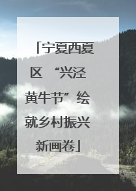 宁夏西夏区 “兴泾黄牛节”绘就乡村振兴新画卷
