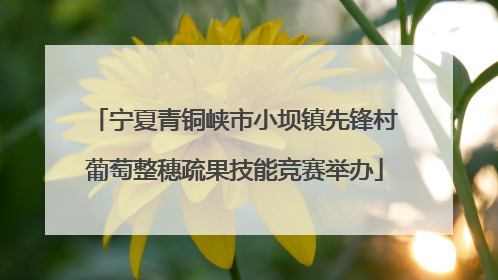 宁夏青铜峡市小坝镇先锋村葡萄整穗疏果技能竞赛举办