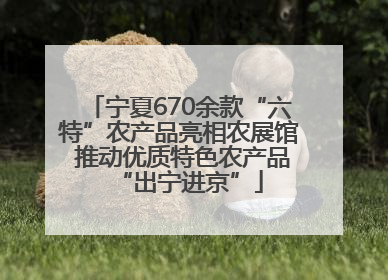 宁夏670余款“六特”农产品亮相农展馆 推动优质特色农产品“出宁进京”