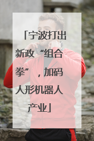 宁波打出新政“组合拳”，加码人形机器人产业