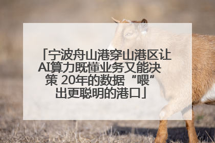 宁波舟山港穿山港区让AI算力既懂业务又能决策 20年的数据“喂”出更聪明的港口