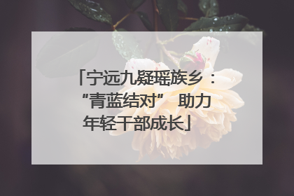 宁远九疑瑶族乡：“青蓝结对” 助力年轻干部成长