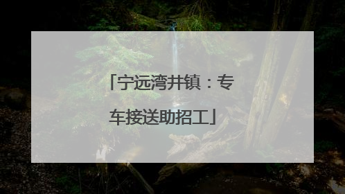 宁远湾井镇：专车接送助招工