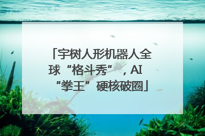 宇树人形机器人全球“格斗秀”，AI“拳王”硬核破圈