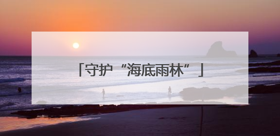 守护“海底雨林”