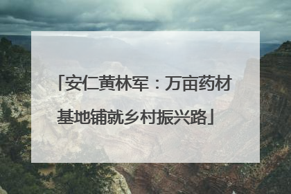安仁黄林军：万亩药材基地铺就乡村振兴路