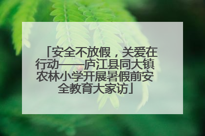 安全不放假，关爱在行动——庐江县同大镇农林小学开展暑假前安全教育大家访