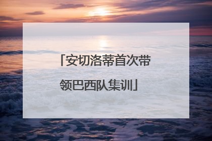 安切洛蒂首次带领巴西队集训