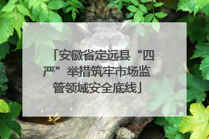 安徽省定远县“四严”举措筑牢市场监管领域安全底线