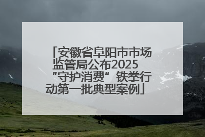 安徽省阜阳市市场监管局公布2025“守护消费”铁拳行动第一批典型案例