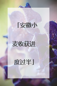 安徽小麦收获进度过半