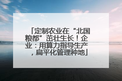 定制农业在“北国粮都”茁壮生长！企业：用算力指导生产，扁平化管理种地