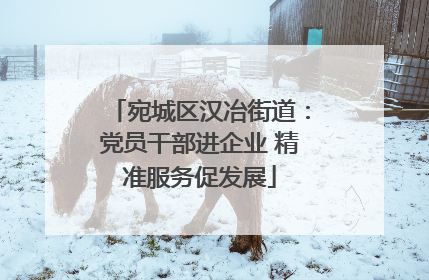 宛城区汉冶街道：党员干部进企业 精准服务促发展