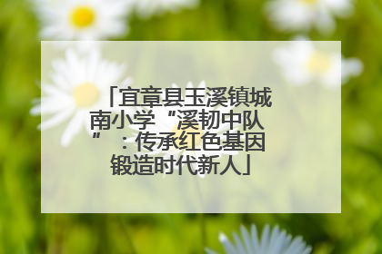 宜章县玉溪镇城南小学“溪韧中队”：传承红色基因 锻造时代新人