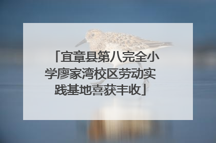 宜章县第八完全小学廖家湾校区劳动实践基地喜获丰收