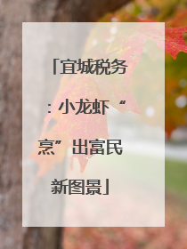 宜城税务：小龙虾“烹”出富民新图景