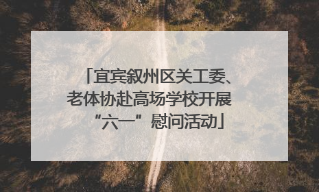 宜宾叙州区关工委、老体协赴高场学校开展“六一”慰问活动