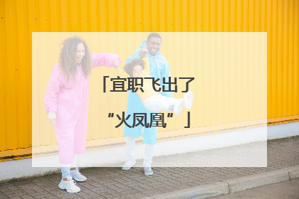 宜职飞出了“火凤凰”