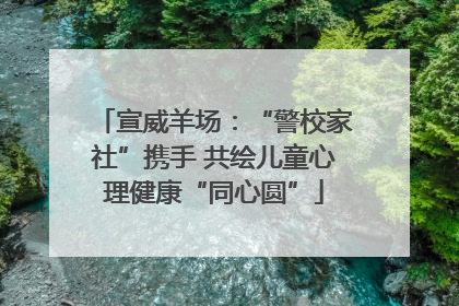 宣威羊场：“警校家社”携手 共绘儿童心理健康“同心圆”