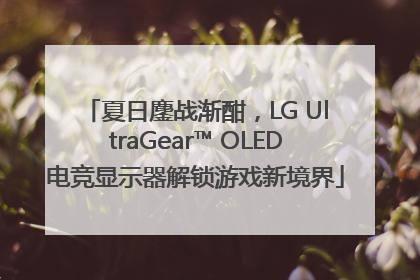 夏日鏖战渐酣，LG UltraGear™ OLED电竞显示器解锁游戏新境界